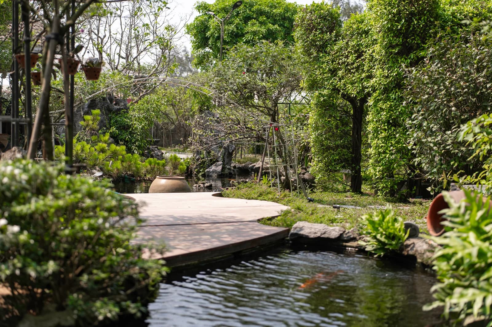 Ảnh nghỉ dưỡng 15