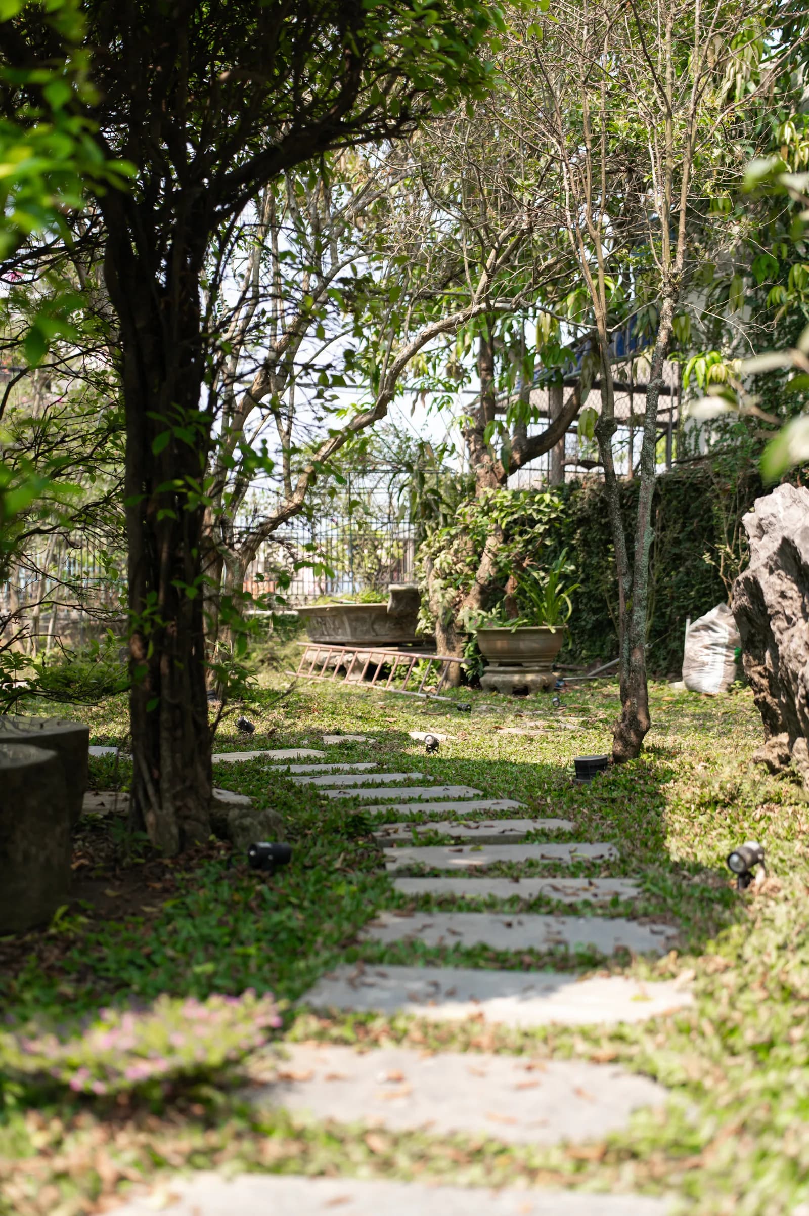 Ảnh nghỉ dưỡng 17