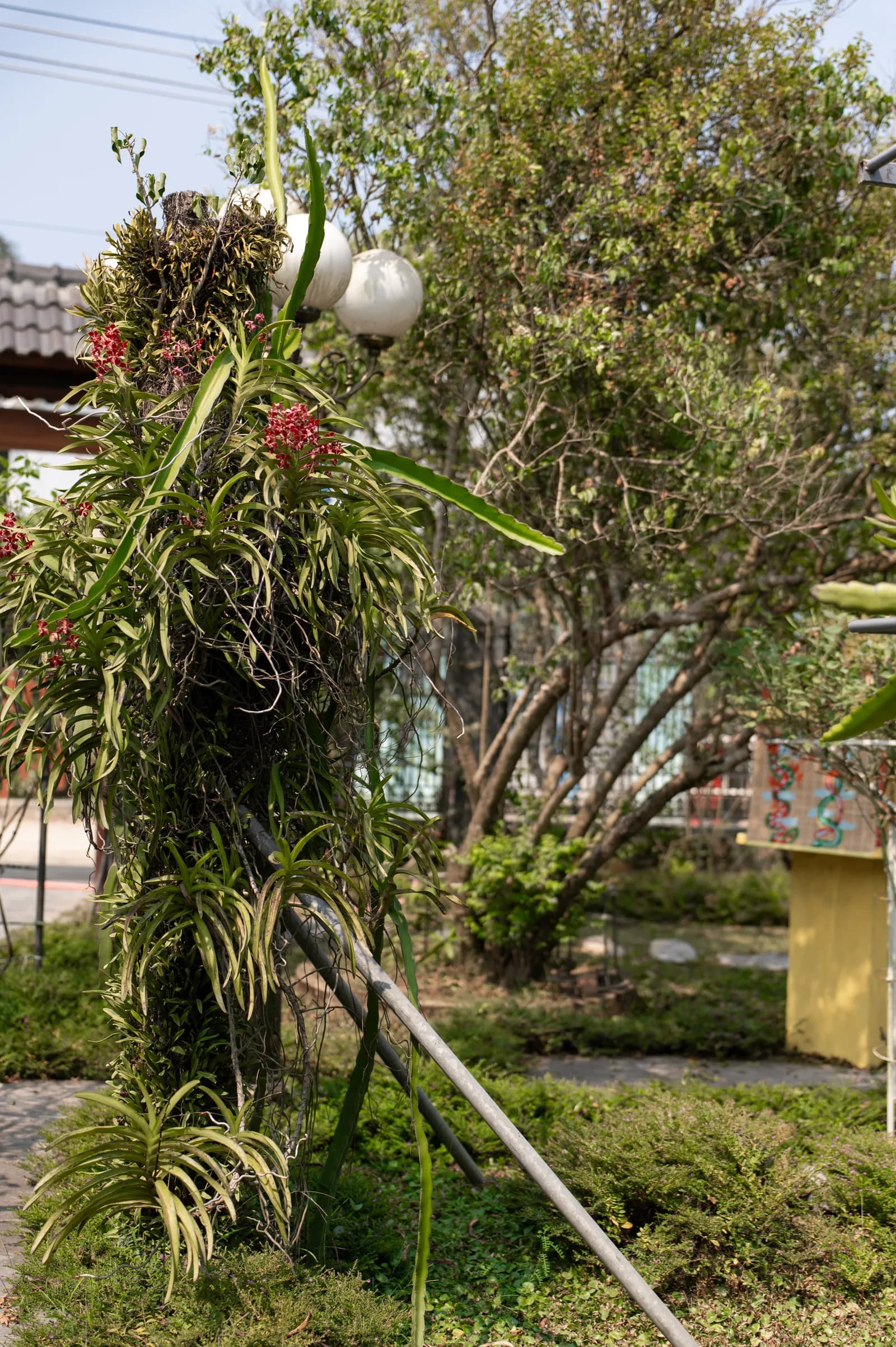 Ảnh nghỉ dưỡng 21