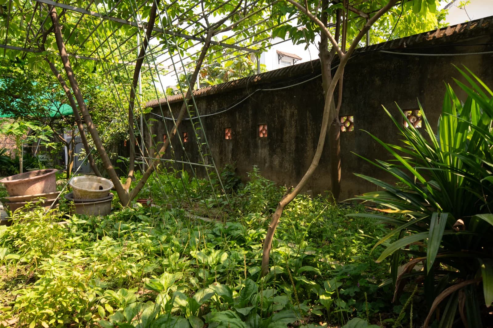 Ảnh nghỉ dưỡng 27