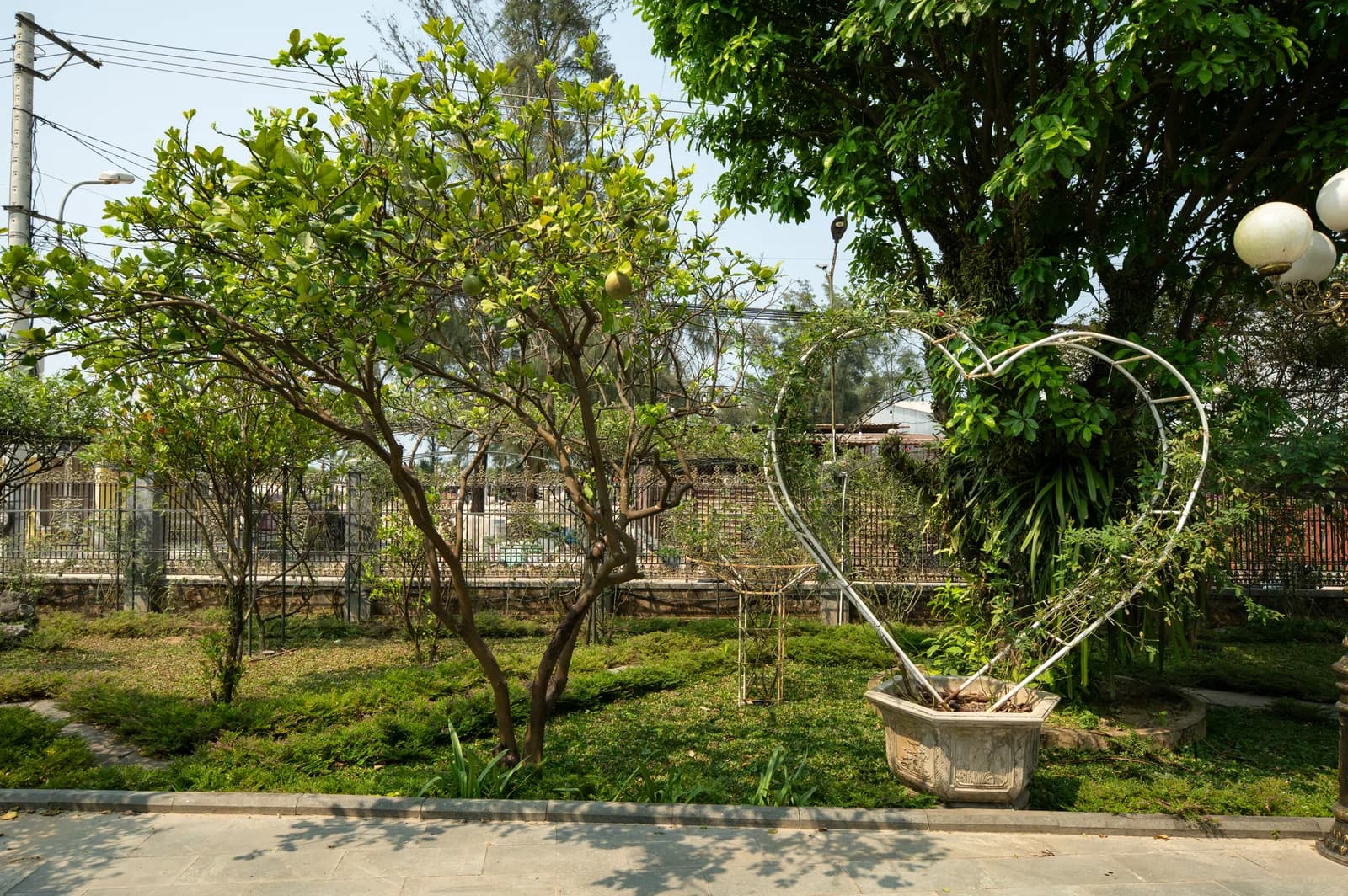 Ảnh nghỉ dưỡng 29