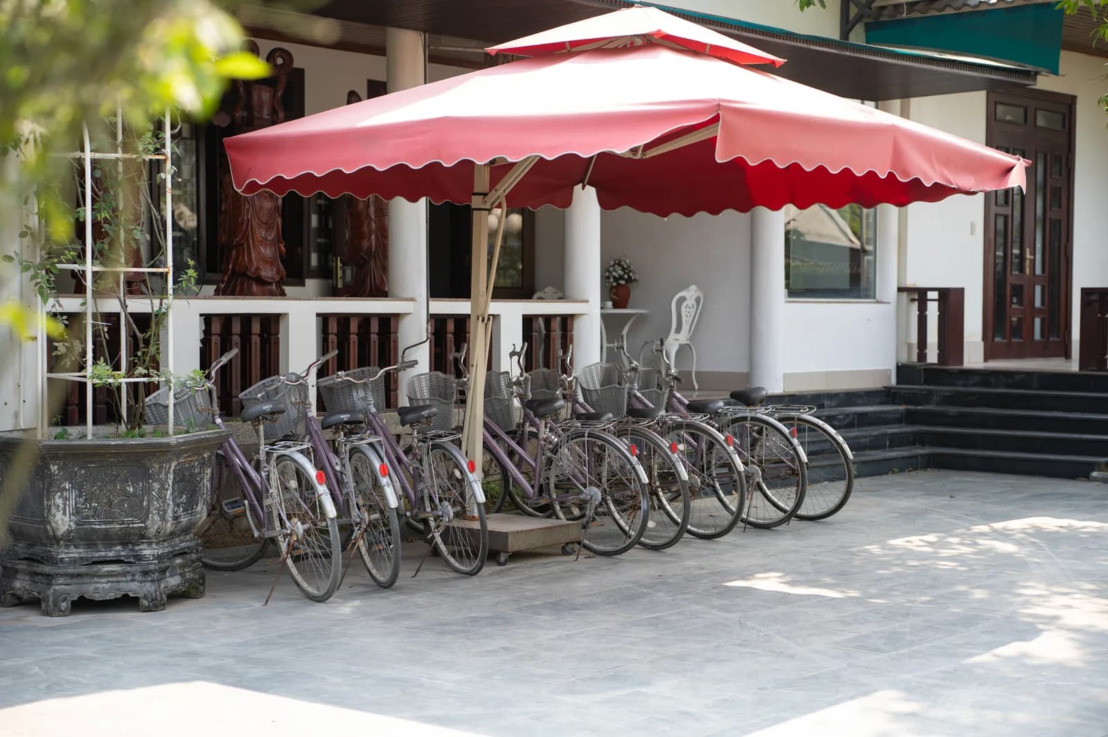 Ảnh nghỉ dưỡng 31