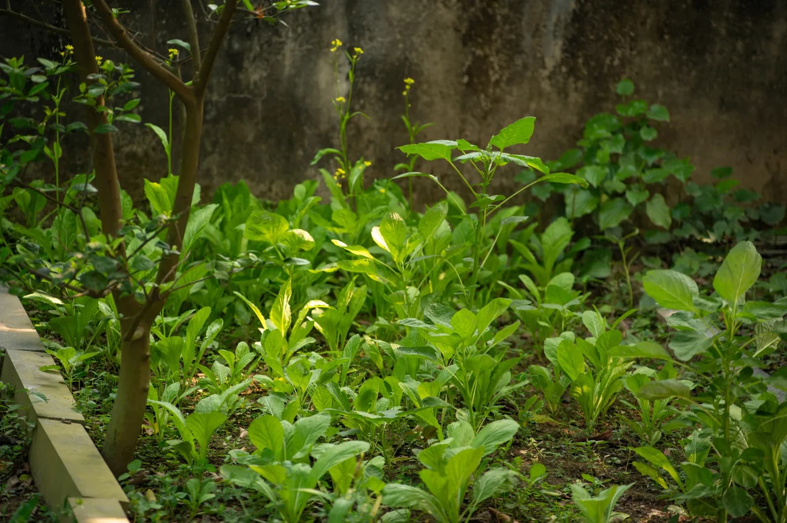 Ảnh nghỉ dưỡng 41