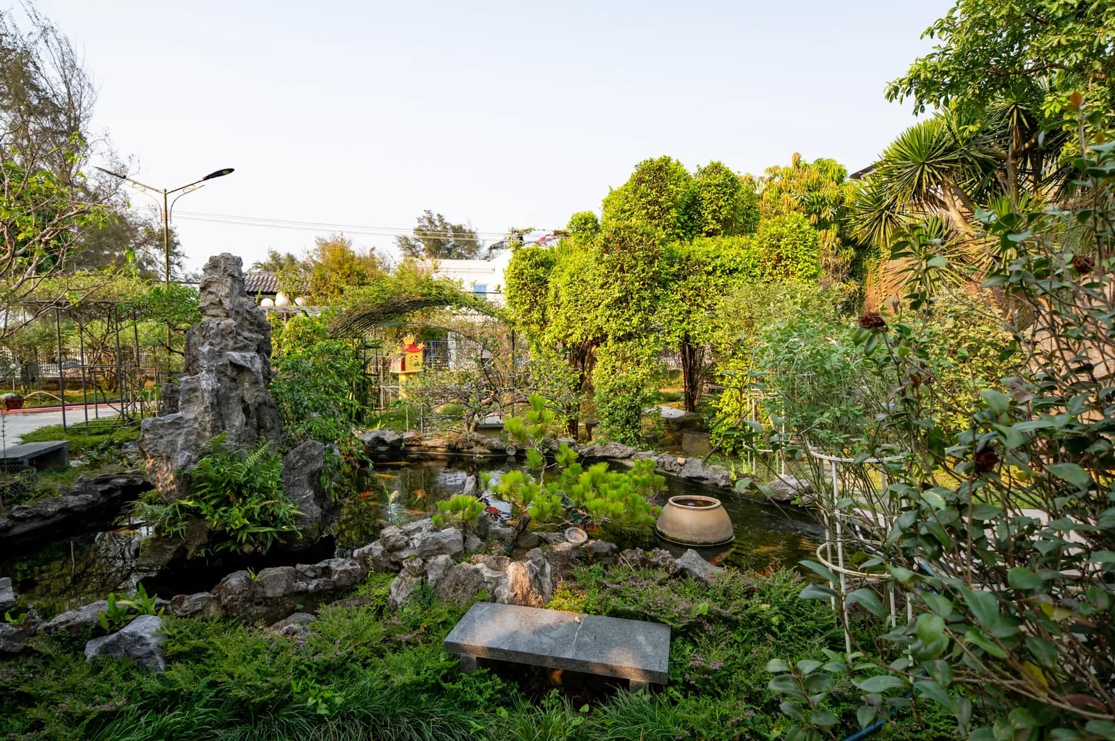 Ảnh nghỉ dưỡng 65