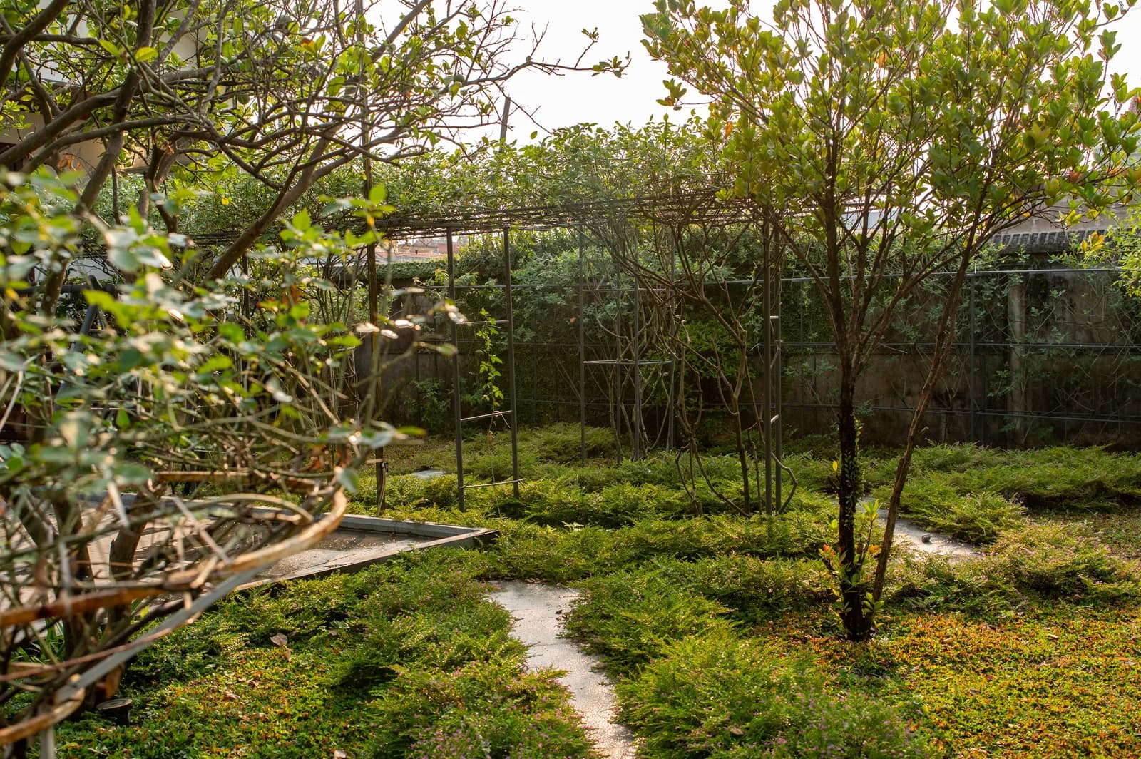 Ảnh nghỉ dưỡng 72