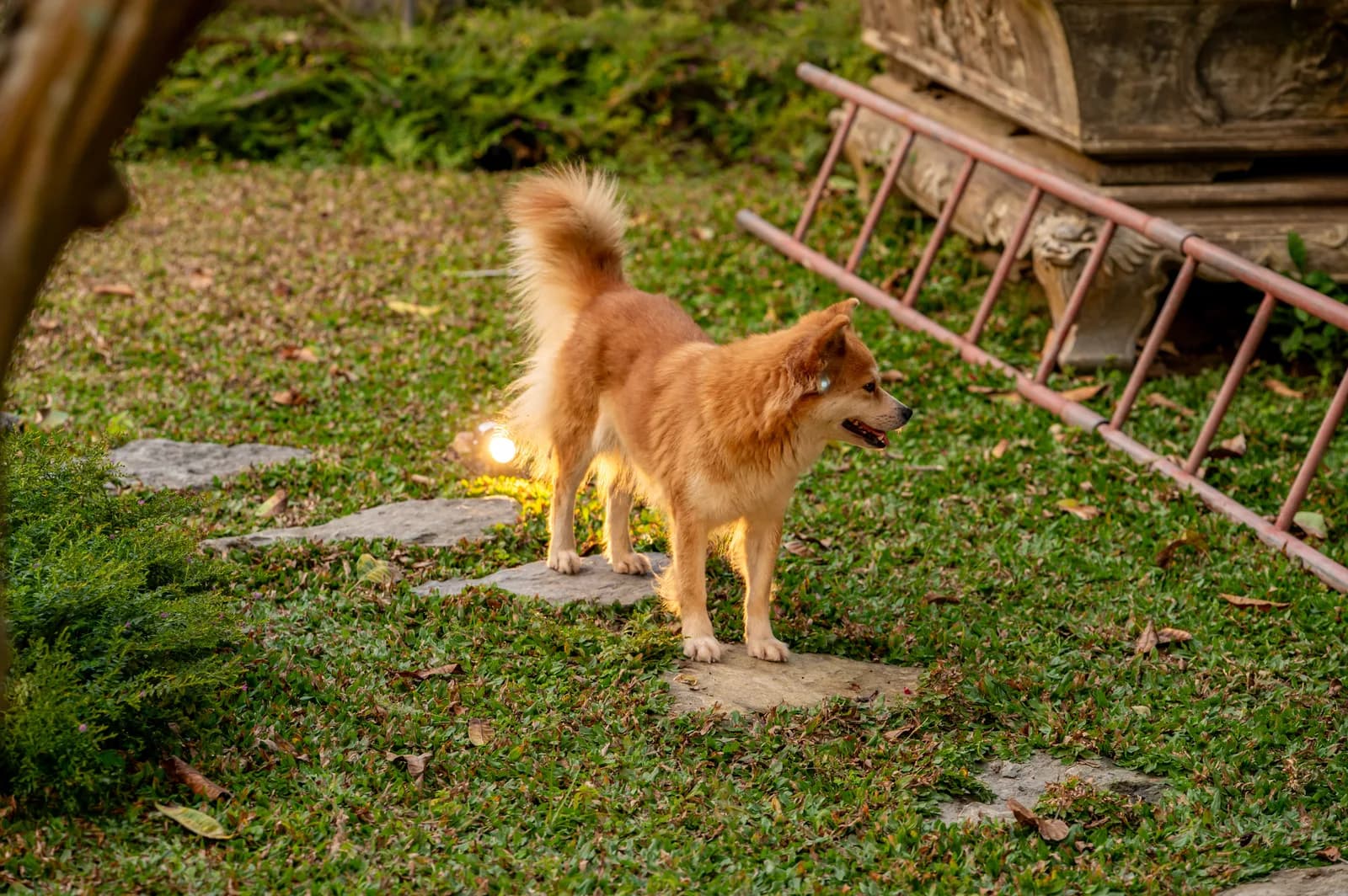 Ảnh nghỉ dưỡng 77