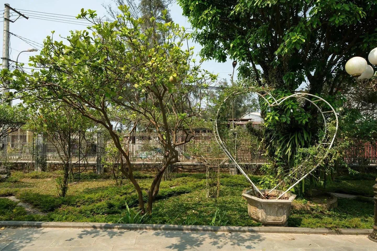 Ảnh nghỉ dưỡng 259